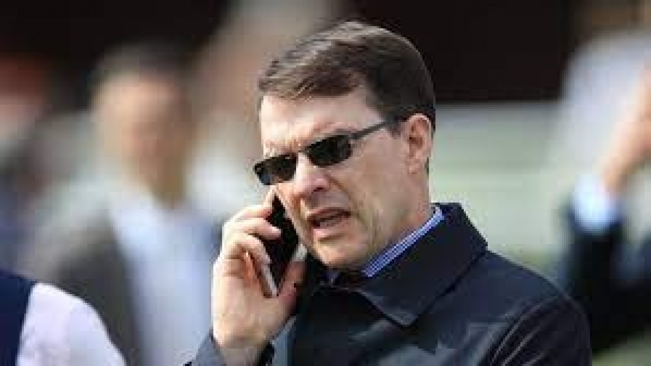 Changingoftheguard Provides Trainer Aidan O'Brien With His 8 ... Image 4
